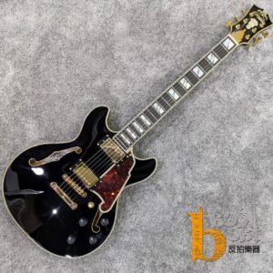 D'Angelico EXCEL MINI DC BLACK