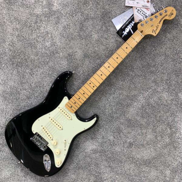 Fender_The Edge_Stratocaster_Signature_logo