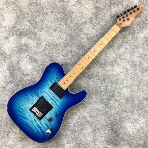 Schecter PT PRO