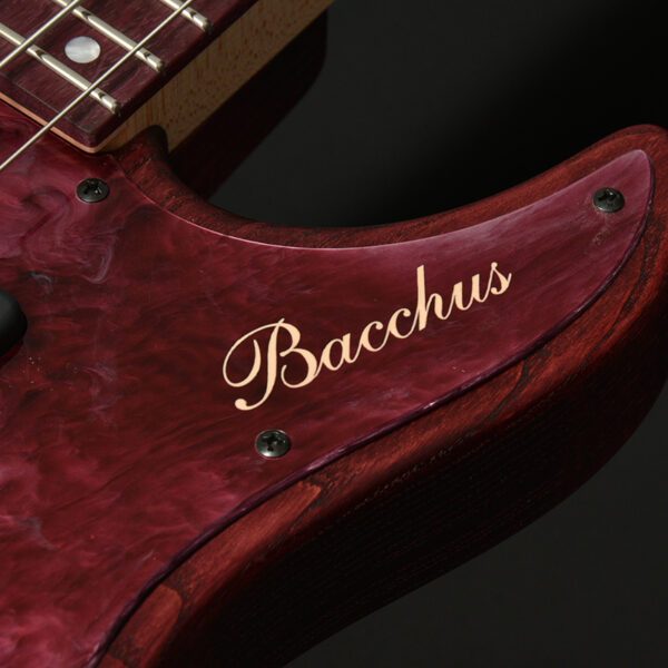 Bacchus Fami 五弦貝斯無頭簽名琴：圖片 5