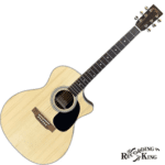 Recording King RGA04C