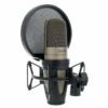 Shure KSM42/SG-X 雙振膜 電容式麥克風 香檳色：圖片 2