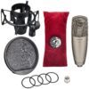 Shure KSM42/SG-X 雙振膜 電容式麥克風 香檳色：圖片 3