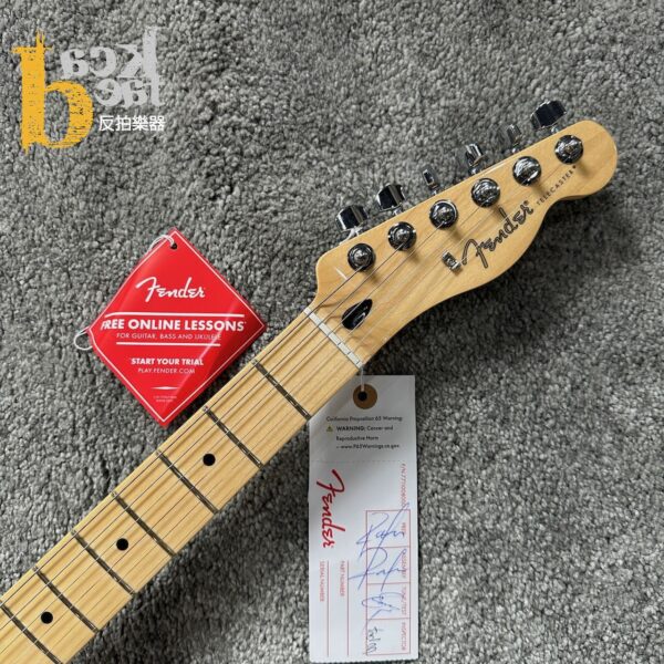 Fender Player LTD Tele SFP-5 電吉他 楓木 衝浪綠色：圖片 3