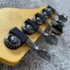 Schecter CV-5 Bass Guitar Ivy 貝斯 奶油白：圖片 6