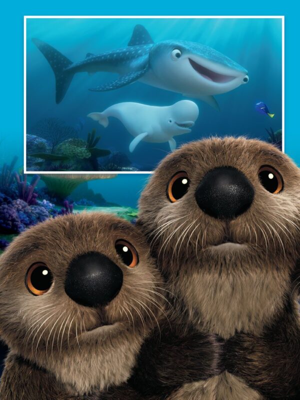 FINDING DORY SONGBOOK 海底總動員 多莉去哪兒 原聲帶樂譜：圖片 3