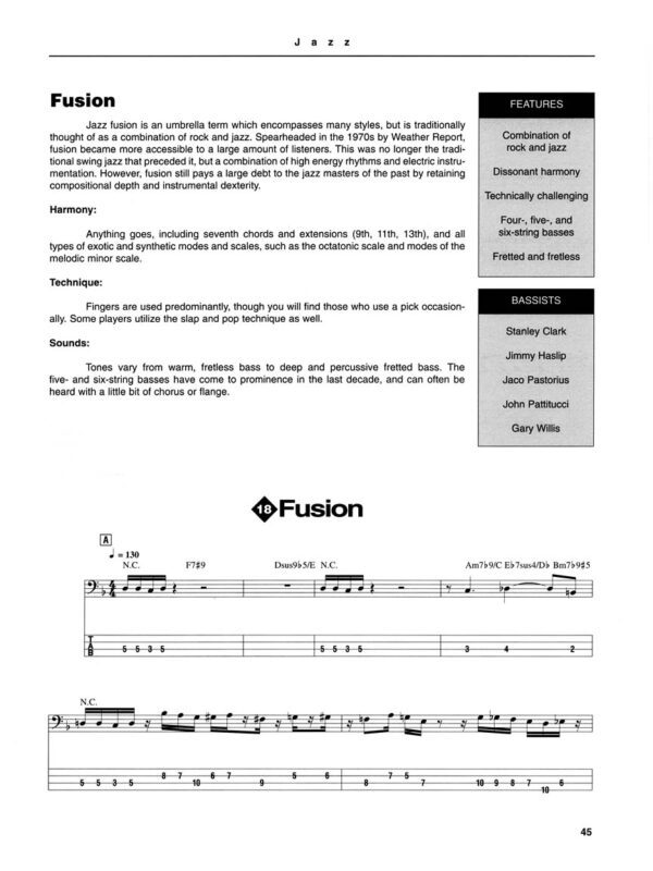 DICTIONARY OF BASS GROOVES 低音樂器 歷史 進口書籍：圖片 4