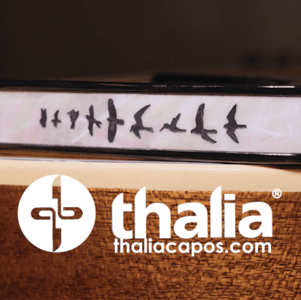 Thalia Capo