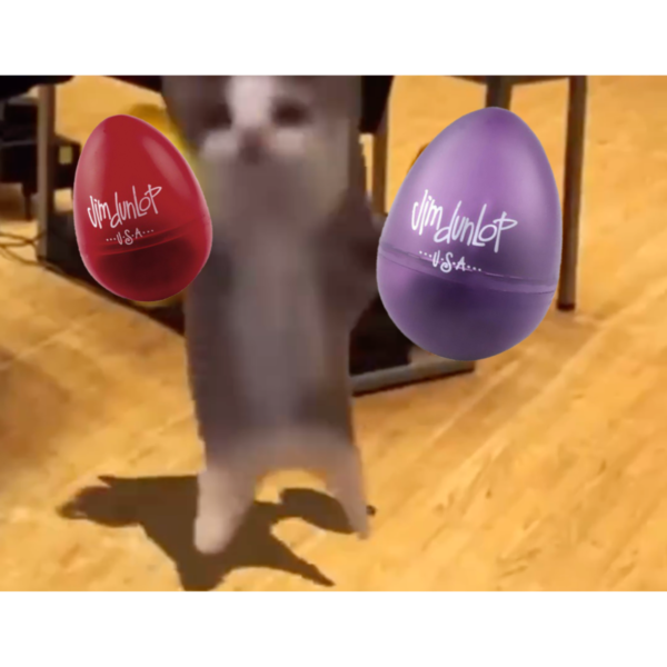HappyCat加持過的 Dunlop 沙鈴（小粉紅、宇宙紫）