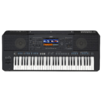 PSR-SX920