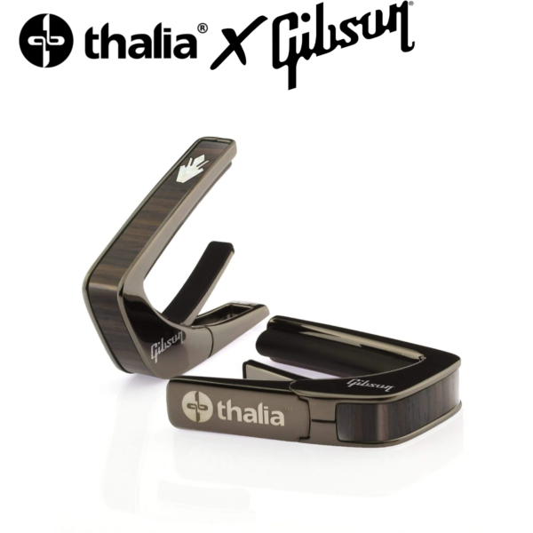 Thalia Gibson Holly 冬青 玫瑰木 黑色鍍鉻