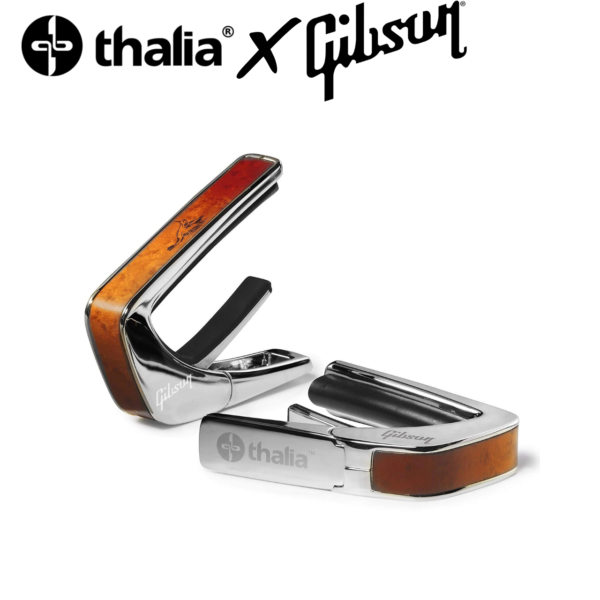 Thalia Gibson Hummingbird Sunburst 鍍鉻