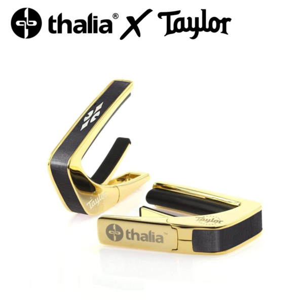 Thalia Taylor 700 Series Reflections 反思 黑檀木 24K金