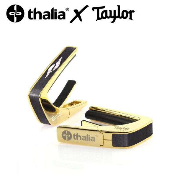 Thalia Taylor 800 Series Element 元素 黑檀木 24K金