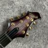ESP EDWARDS E-MYSTIQUE STPRSB 透木紋紫色 電吉他：圖片 2