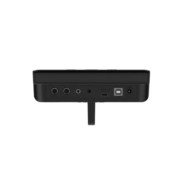 NUX DM-110