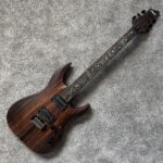 SCHECTER C-1 EXOTIC TREM EBONY