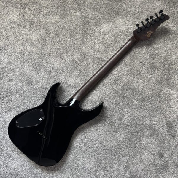 SCHECTER REAPER-6 CUSTOM G.BLK