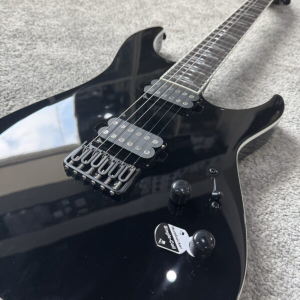 SCHECTER REAPER-6 CUSTOM G.BLK