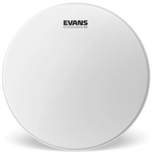 EVANS_B10G2